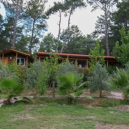 Canbaba 3* Kumluca